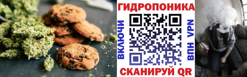 Canna-Cookies марихуана  блэк спрут ONION  Выборг 
