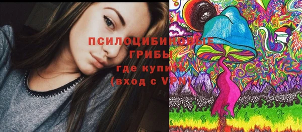 хмурый Бородино