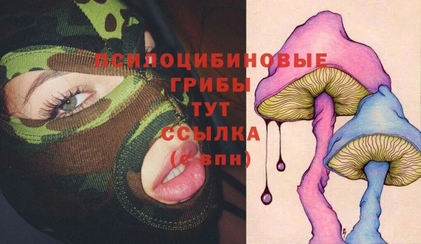 прущий лед Бронницы