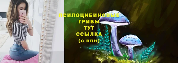 шишки Бугульма