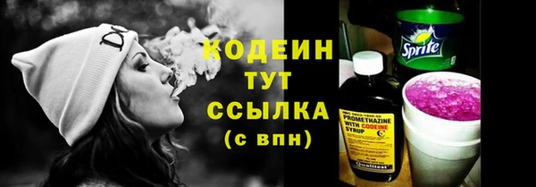 хмурый Бородино