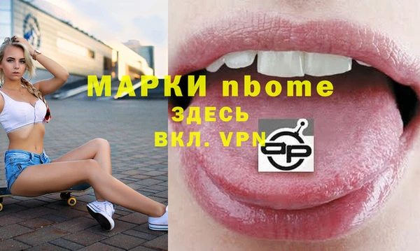 хмурый Бородино