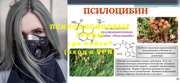 хмурый Бородино