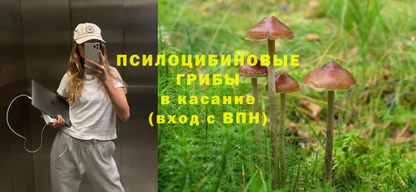 хмурый Бородино