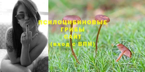 хмурый Бородино