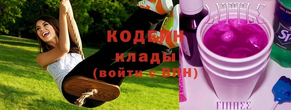 хмурый Бородино