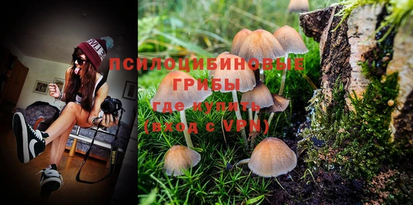 прущий лед Бронницы