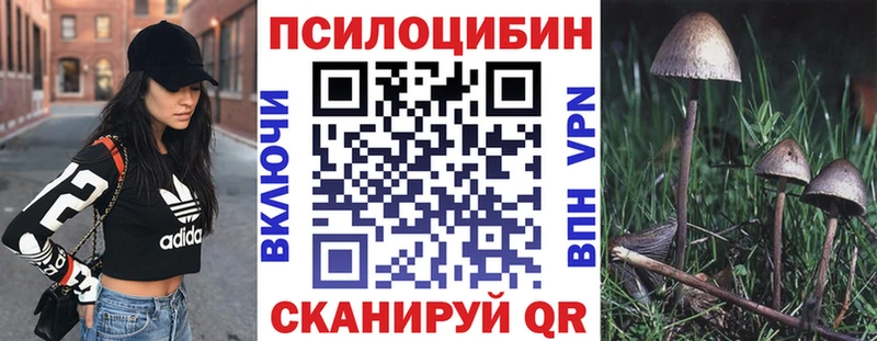 закладки  blacksprut ТОР  Псилоцибиновые грибы Magic Shrooms  Выборг 