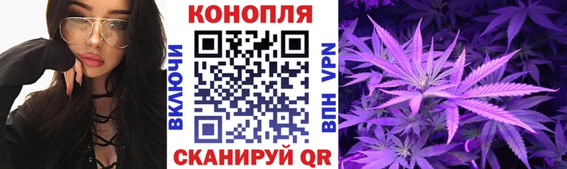 Бошки марихуана THC 21%  сколько стоит  Выборг 
